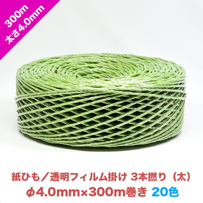 【商品名】紙ひも／透明フィルム掛け 3本撚り（太） 【規　格】太さ4.0mm × 長さ300m 【サイズ】直径33cm × 高さ10cm 【素　材】再生紙100％ 【入　数】バラ／1玉 【カラー】 ●20色（色見本の画像を参考にしてください） 【用途】 ●結ぶ・縛る・吊るす・装う・飾る。 【特徴】 ●再生紙100％なのでそのまま廃棄・焼却出来ます。 ●外側に掛かっているフィルムは、PETです。 ●太さも色も豊富で色々な用途に使用できます。 【注意】 ●紫外線により色飛びがあるので、冷暗所で保管願います。 ●商品・数量により発送までに1週間ほどお時間を頂く場合があります。 【その他規格】 商品名 太さ 色 紙ひも／紙1本撚り（中） 3.5mm 黒・グレー・白・アイスピンク・ピンク・赤・レンガ・チョコ・こげ茶・アーモンド・クラフト・アイボリー・オレンジ・黄・アップルグリーン・ヒワ・若竹・オリーブ・グリーン・紺 紙ひも／紙2本撚り（細） 2.5mm 紙ひも／紙2本撚り（中） 3.0mm 紙ひも／紙3本撚り（細） 3.5mm 紙ひも／紙3本撚り（太） 4.0mm 紙ひも／紙3本撚り（特太） 5.0mm 紙ひも／透明フィルム掛け2本撚り（細） 2.5mm 【透明フィルム掛け】黒・グレー・白・アイスピンク・ピンク・赤・レンガ・チョコ・こげ茶・アーモンド・クラフト・アイボリー・オレンジ・黄・アップルグリーン・ヒワ・若竹・オリーブ・グリーン・紺 紙ひも／透明フィルム掛け2本撚り（中） 3.0mm 紙ひも／透明フィルム掛け2本撚り（太） 3.5mm 紙ひも／透明フィルム掛け3本撚り（太） 4.0mm 紙ひも／透明フィルム掛け3本撚り（特太） 5.0mm 紙ひも／印刷フィルム掛け2本撚り（中） 3.0mm 【印刷フィルム掛け】・印刷金フィルム・印刷銀フィルム・印刷黒フィルム・印刷赤フィルム・印刷赤原フィルム・印刷金茶フィルム 【お得な6玉セット】はこちら 【お得な12玉セット】はこちら