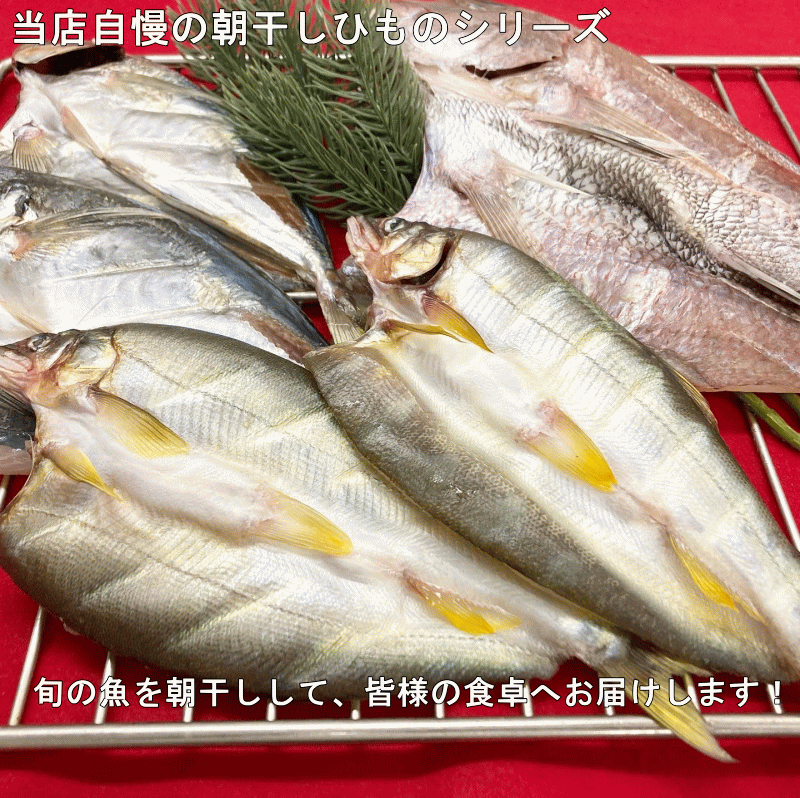 送料無料 お任せ干物セット 旬の干物が6枚から8枚入り 家族4人で2回分 ボリュームたっぷり 冷凍保存可能 冷凍30日間保存できます 手づくり干物セット 旬の魚を干して皆様の食卓へお届けします