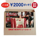 【送料無料】＊2000円ポッキリ 宮崎名物 おつまみセット【メール便】【着日指定不可】【単品配送】【同梱不可】【常温】1000円ポッキリ ぽっきり 福袋 ノベルティ 景品 ジャーキー 燻製 父の日 炭火焼 たんぱく質 お試し 買い回り お返し 粗品