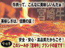 【送料無料】★宮崎牛 焼肉【冷凍】贈り物　お歳暮　お年始　お中元　ギフト　内祝　父の日　焼肉カット 3