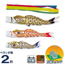 こいのぼり 旭天竜 鯉のぼり 庭園用 ベランダ用 2m 万能スタンドセット ゴールド鯉 五色吹流し 【2025年度新作】 m-gold-st-2m