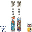 武者絵のぼり フジサン鯉 武者幟 庭園用 7m リバーシブル幟 桃・金太郎 招福龍付 撥水加工 家紋・名前入れ可能 【2025年度新作】 kb5-xr71