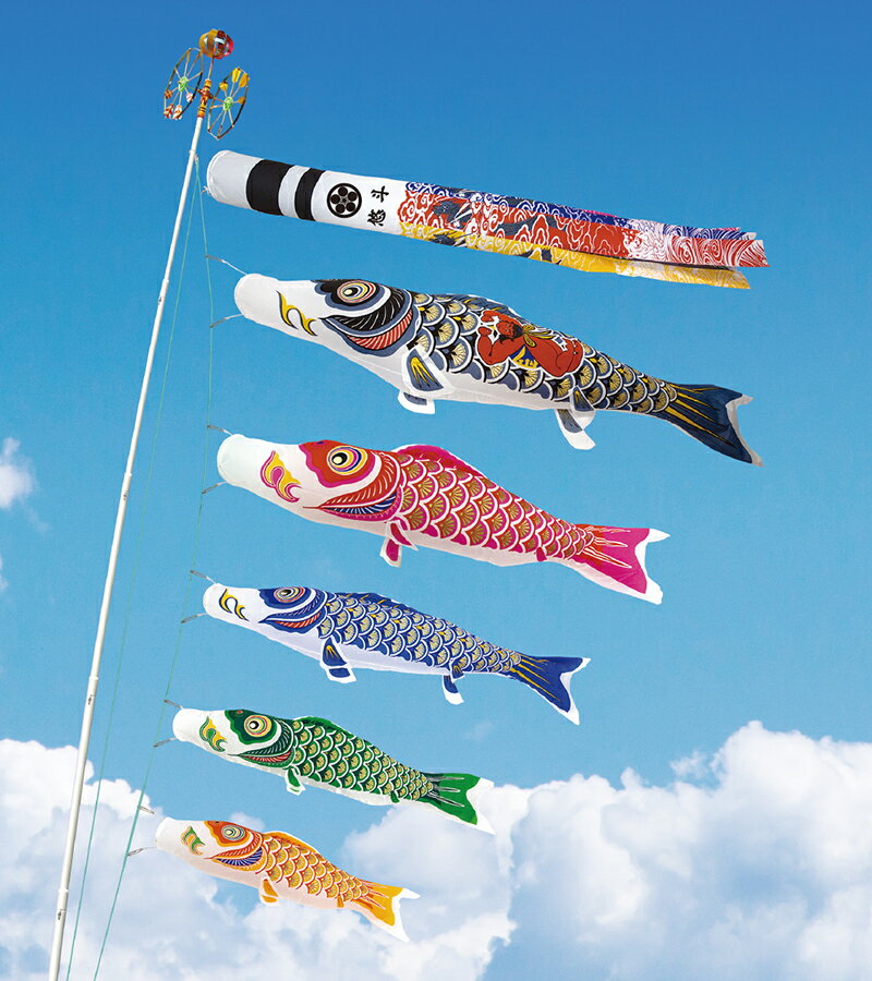 こいのぼり 村上鯉 鯉のぼり 庭園用 7m 8点セット 金太郎付ナイロンゴールド 金粉刷込 翔龍吹流し 家紋・名入れ可 【2026年度新作】 mk-100-938 2