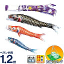 鯉のぼり ベランダ用 徳永 1.2m スタンドセット 皇龍 双龍守護之最上鯉 家紋・名入可 koryu-st-1-2 【2022年度新作マンションアパートベランダ用こいのぼり】【マンション】【アパート】【ベランダ】 こどもの日
