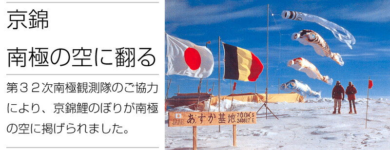 京錦 献上手染友禅之鯉 ポリエステル立体交差織生地