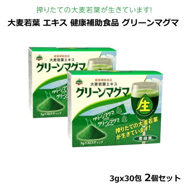 グリーンマグマ 3g x 30包×2個セット　モンドセレクション3年連続金賞受賞！ 日本薬品開発 大麦若葉 青汁 酵素 赤神力 家族で健康・笑顔な毎日を 健康食品・サプリメント HINAストア