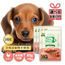 yum yum yum！ チキン やわらかドライタイプ 80g×5袋 正規品ドッグフード ドックフード 犬用 全年齢対応 子犬 成犬用 老犬用 シニア犬 国産 無添加