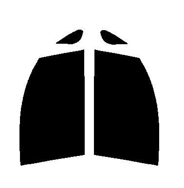 運転席、助手席　タントエグゼ L455S・465Sカット済みカーフィルム　ハードコート　UVカット　紫外線99カット