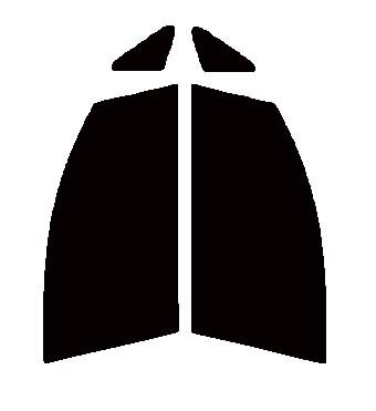 GHOST2 NEO(ゴースト2 ネオ) オーロラ79　運転席・助手席　ダイハツ　ムーヴ　（ムーブ・MOVE）　L175S..