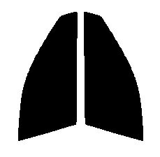 運転席、助手席　ウイングロード　WPY11・WHY11・WHNY11・WFY11・WRY11 カット済みカーフィルム　カラーハードコート　UVカット　紫外線対策　ラグジュアリー　日よけ