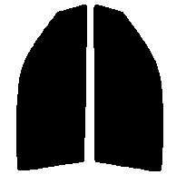 断熱フィルム　クリア　運転席、助手席　シルビア　S15　カット済みカーフィルム