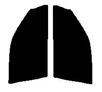 運転席、助手席　ローレル SC35・HC35・GCC35・GC35・GNC35 カット済みカーフィルム　カラーハードコート　UVカット　紫外線対策　ラグジュアリー　日よけ
