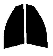 2層構造フィルム　運転席、助手席　ヴェロッサ　GX110・GX115・JZX110　カット済みカーフィルム　ハードコート　38ミクロン　UVカット　紫外線対策　日よけ　カットフィルム　スーパーブラック　ダークスモーク