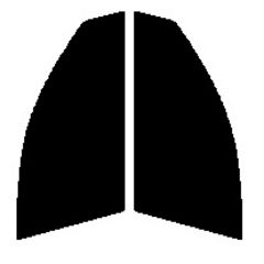 2層構造フィルム　運転席、助手席　マークX　GRX120・GRX121・GRX125　カット済みカーフィルム　ハードコート　38ミクロン　UVカット　紫外線対策　日よけ　カットフィルム　スーパーブラック　ダークスモーク