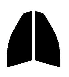 Braintec ML91(PURE) ピュア ゴーストML91 　運転席・助手席　ウィンダム　MCV30カット済みカーフィルム　UVカット　99％　紫外線対策　断熱