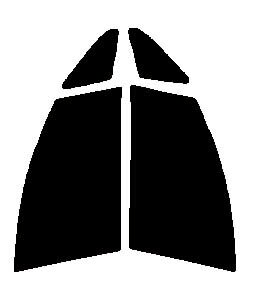 運転席、助手席　エスティマ　MCR30W・MCR40W・ACR30W・ACR40W・AHR10Wカット済みカーフィルム　ハード..