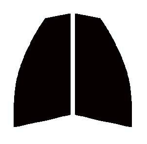 Braintec ML91(PURE) ピュア ゴーストML91 　運転席・助手席　プラッツ NCP12・NCP16・SCP11カット済みカーフィルム　UVカット　99％　紫外線対策　断熱