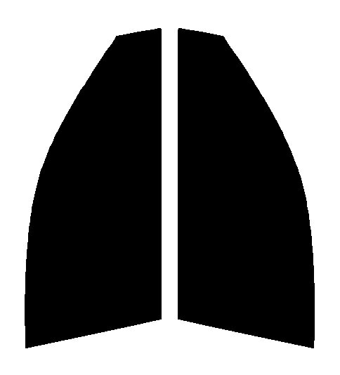 Braintec ML91(PURE) ピュア ゴーストML91 　運転席・助手席　レクサス　CT　ZWA10カット済みカーフィルム　UVカット　99％　紫外線対策　断熱