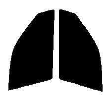 運転席、助手席　アスコット　CE4・CE5カット済みカーフィルム　ハードコート　UVカット　紫外線99カット