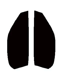 スパッタシルバー　運転席、助手席　マツダ　RX-7 FD3S　カット済みカーフィルム　ハードコート　UVカット　IR効果　遮熱効果　紫外線99カット　70　68％　50　50％　35　38％　15　14％　送料無料