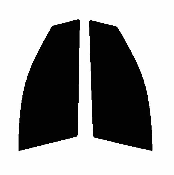 FUNKYGHOST(ファンキーゴースト) プリズム99　運転席・助手席　マツダ　RX-8　SE3Pカット済みカーフィ..