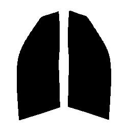 GHOST(ゴースト) オーロラ80　運転席・助手席　スターレット　EP91・EP95・NP90　3ドアカット済みカーフィルム　UVカット　99％　紫外線対策　断熱　IR効果　遮熱効果