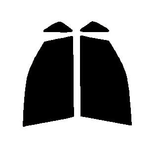 FUNKYGHOST(ファンキーゴースト) プリズム99　運転席・助手席　トヨタ　ヴォクシー　（VOXY）　AZR60G・AZR65Gカット済みカーフィルム　UVカット　99％　紫外線対策　断熱　IR効果　遮熱効果