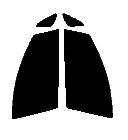 FUNKYGHOST(ファンキーゴースト) プリズム99　運転席・助手席　トヨタ　ウィッシュ　（WISH）　ZNE10G・ZNE14G・ANE10G・ANE11Wカット済みカーフィルム　UVカット　99％　紫外線対策　断熱　IR効果　遮熱効果