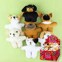 \ LINE登録で300円クーポン! / ボンビ トイキッズカムカムDog 【 犬 おもちゃ ぬいぐるみ 笛付き 犬の噛むおもちゃ 噛むぬいぐるみ 】(ビーグル...