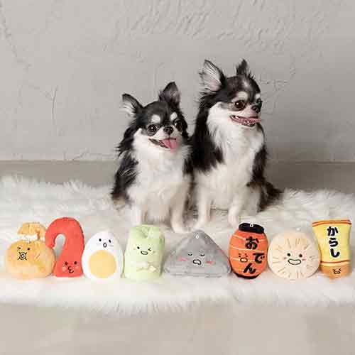 ＼4時間限定10％OFF！楽天スーパーSALE／Odenおもちゃ【犬 おもちゃ Free Solgra TOY ソルグラ トイ ド..
