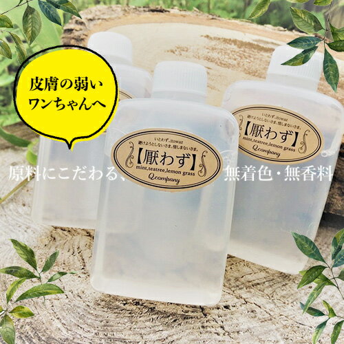 【マラソン期間ポイント5倍！】【80ml】厭わず (犬 お手入れ 自然由来 無香料 無着色 Qcompany シャンプー 人間もOK Qシャンプー アレルギー)