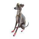 \在庫処分SALE/【 S / M / L / XL】カラフルソックス( ライクソックス LIKE SOCKS 犬服 中型犬 大型犬 LIFELIKE 犬 服 ...