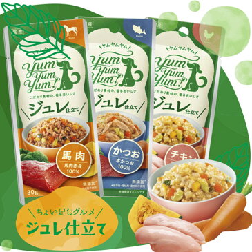 (お試し)Yum Yum Yum！ ヤムヤム ジュレ仕立て 3種 チキン かつお 馬肉（犬 フード 無添加 国産）