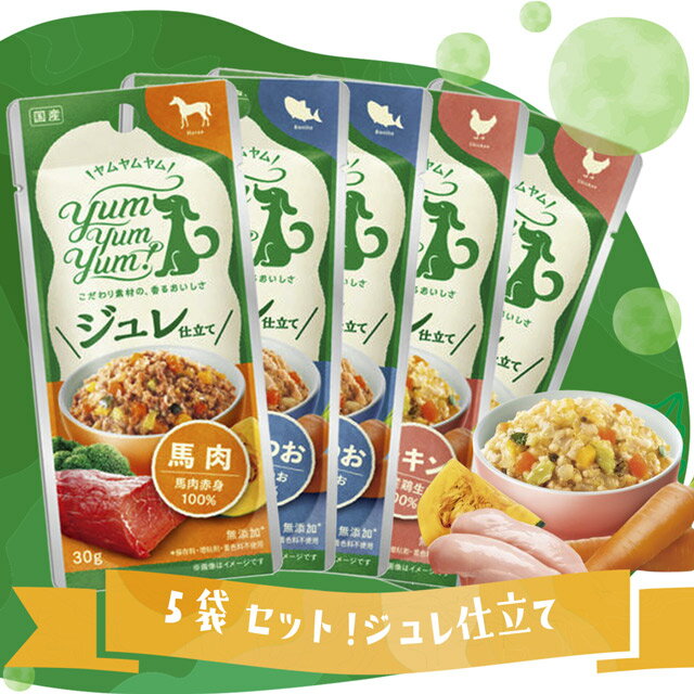 ＼エントリーで店舗内3点で10倍！／【 メール便 】【送料無料】★選べる5袋★【 お試し 】Yum Yum Yum！ ヤムヤム ジュレ仕立て 3種 チキン かつお 馬肉【yum yum yum！ 犬 フード 無添加 国産】のサムネイル