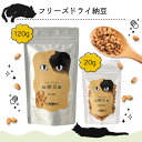 \ LINE登録で300円クーポン /ドットにゃんフリーズドライ納豆【20g】【ねこ 無添加 キャット 猫 おやつ)