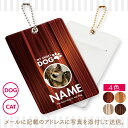 \ LINE登録で300円クーポン /【 オーダーメイド 】オリジナルパスケース(写真 犬 猫 ペット ICカードケース 定期入れ パスケース 名入れ)