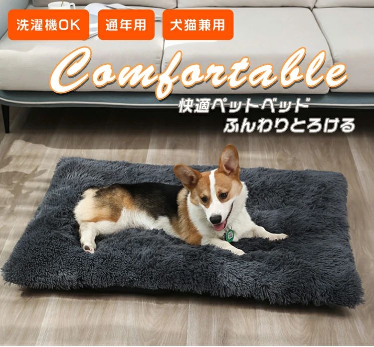 サンプル画像2