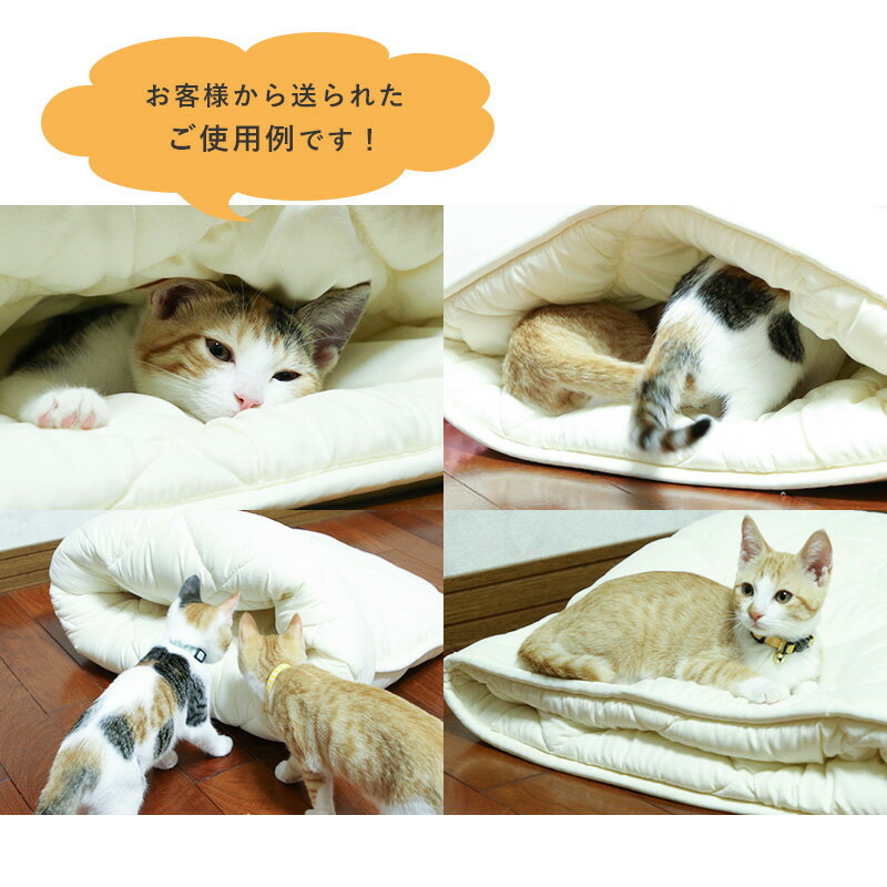 ねこのおふとん「はいるニャン」