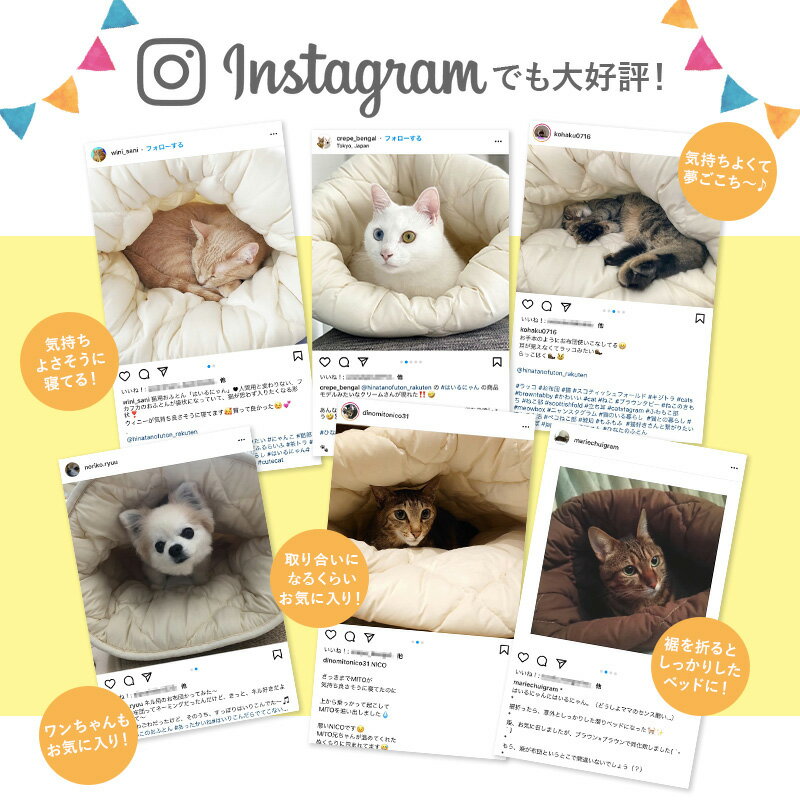 ねこのおふとん「はいるニャン」