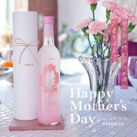 REIJIforMother'sday 花束のような甘く優しいお酒/母の日 カーネーションセット ギ...