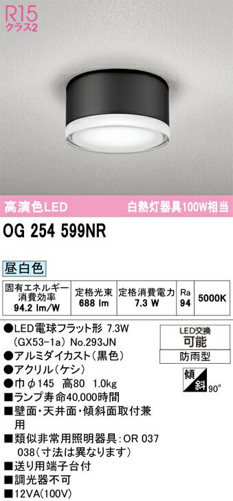 ODELIC(�����ǥ�å�)������󥰥饤�ȡ����򿧡�������OG254599NR