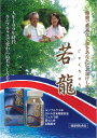 若龍 フェルラ酸 乳酸菌末(EC-12)DHA含有精製魚油 田七人参 ルンブルクス末 健康補助食品