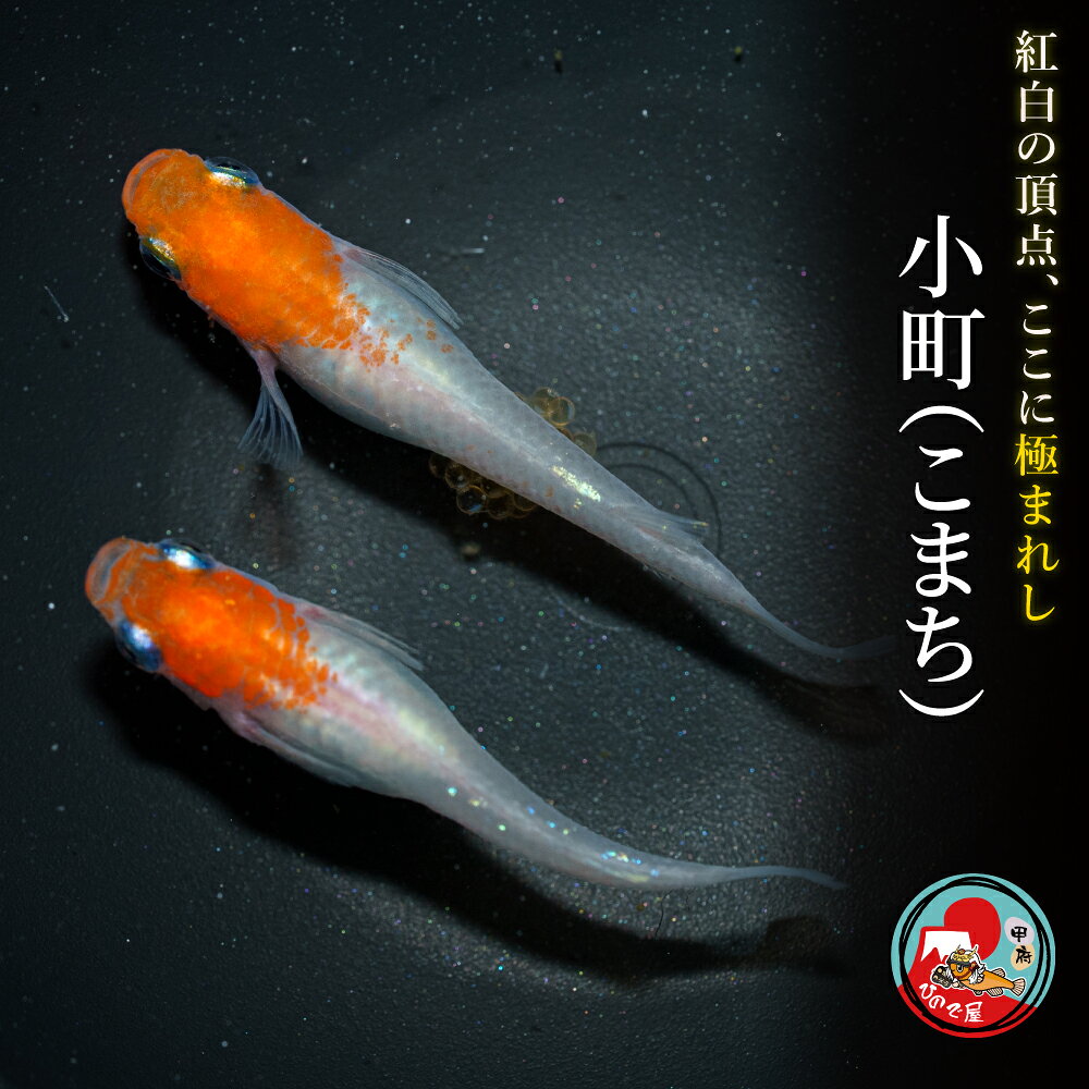 商品画像2