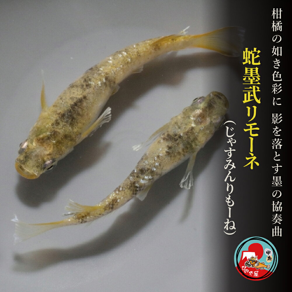 商品画像3