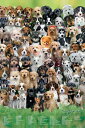 キース キンバーリン DOGS ポスター フレーム(額)なし 91.5×61cm