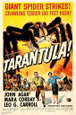 世紀の怪物 タランチュラの襲撃 映画ポスター 軽量アルミ製フィットフレーム付 91.5×61cm
