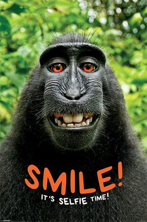 Smile! It's Selfie Time! ݥ ȥե졼