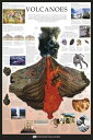 火山 ドーリング ・キンダースリー ポスター 91.5×61cm 木製アートフレーム付 Volcanoes