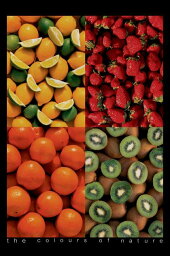 フルーツカラー ポスター 木製アートフレーム付 Fruits - Colors of Nature