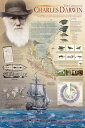 ダーウィン の天才 ポスター 91.5×61cm 木製アートフレーム付 チャールズ・ダーウィンの天才 Genius of Charles Darwin